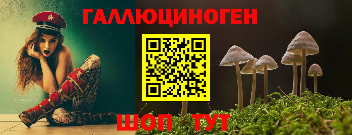 Галлюциногенные грибы Psilocybine cubensis Обь